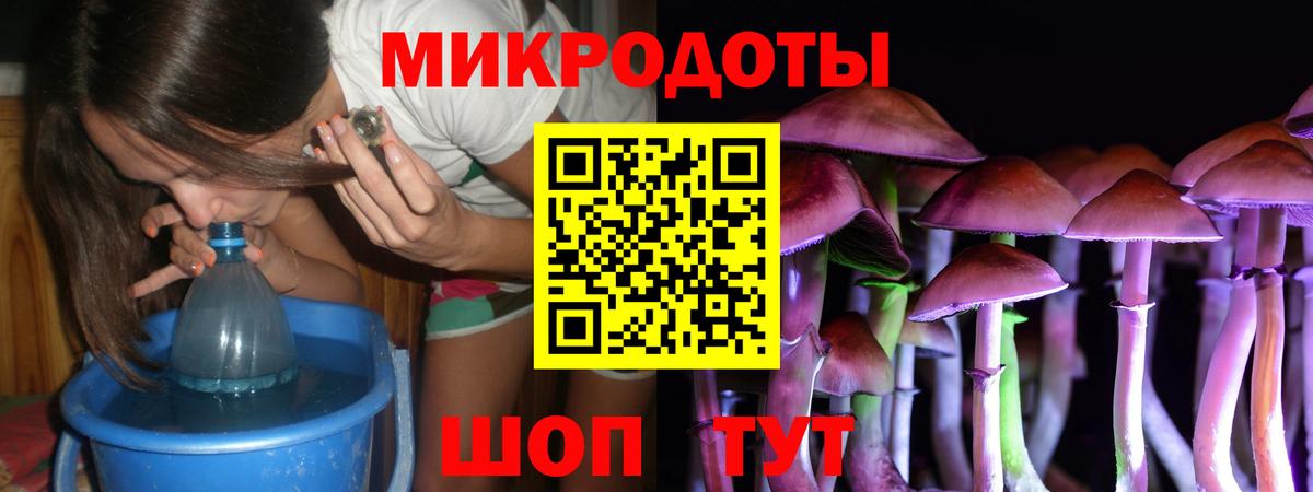 Псилоцибиновые грибы Cubensis Кувандык